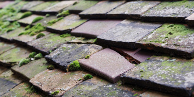 Lode roof repair costs